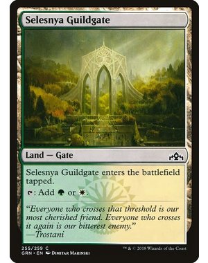 Magic: The Gathering Selesnya Guildgate (255) Lightly Played