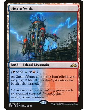 Magic: The Gathering Steam Vents (257) Lightly Played