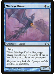 Magic: The Gathering Mindeye Drake (043) Moderately Played