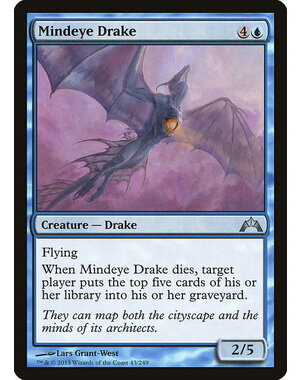 Magic: The Gathering Mindeye Drake (043) Moderately Played