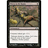 Magic: The Gathering Illness in the Ranks (069) Moderately Played