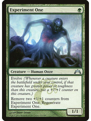 Magic: The Gathering Experiment One (119) Moderately Played