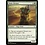Magic: The Gathering Dune Diviner (114) Lightly Played