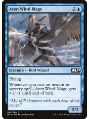 Magic: The Gathering Aven Wind Mage (045) Lightly Played