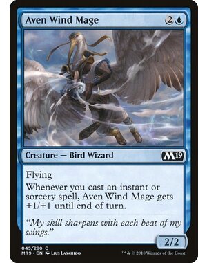Magic: The Gathering Aven Wind Mage (045) Lightly Played