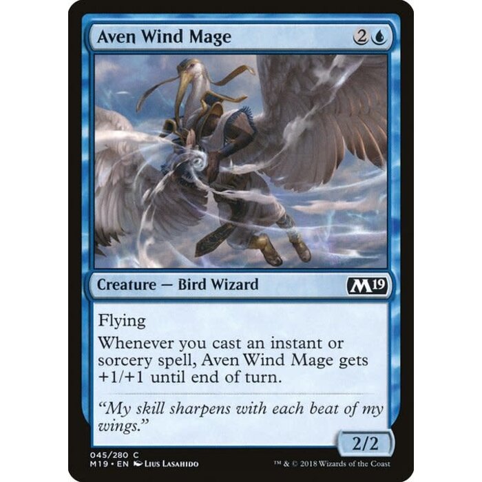 Magic: The Gathering Aven Wind Mage (045) Lightly Played