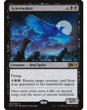 Magic: The Gathering Gravewaker (293) Lightly Played