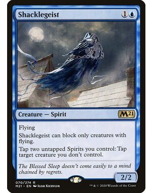 Magic: The Gathering Shacklegeist (070) Lightly Played