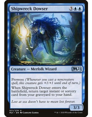 Magic: The Gathering Shipwreck Dowser (071) Near Mint
