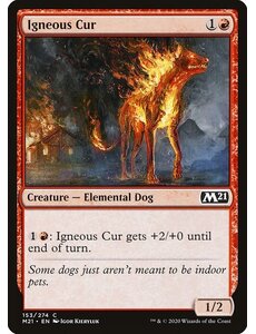 Magic: The Gathering Igneous Cur (153) Near Mint