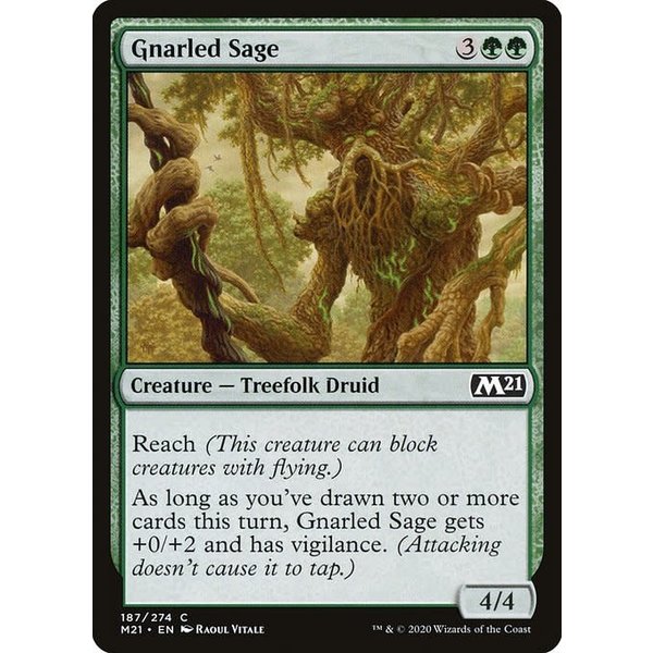 Magic: The Gathering Gnarled Sage (187) Near Mint
