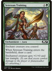 Magic: The Gathering Setessan Training (205) Near Mint Foil