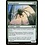 Magic: The Gathering Snarespinner (207) Near Mint Foil