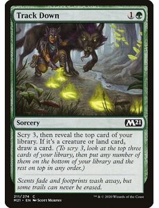 Magic: The Gathering Track Down (211) Lightly Played