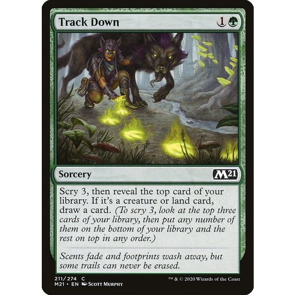 Magic: The Gathering Track Down (211) Lightly Played