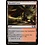 Magic: The Gathering Bloodfell Caves (243) Near Mint Foil