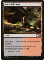 Magic: The Gathering Bloodfell Caves (243) Near Mint