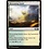 Magic: The Gathering Blossoming Sands (244) Lightly Played