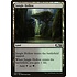 Magic: The Gathering Jungle Hollow (247) Lightly Played