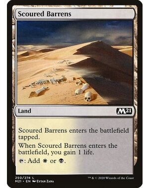 Magic: The Gathering Scoured Barrens (250) Lightly Played