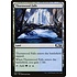 Magic: The Gathering Thornwood Falls (257) Lightly Played
