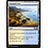 Magic: The Gathering Tranquil Cove (258) Near Mint