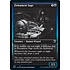 Magic: The Gathering Firmament Sage (053) Near Mint