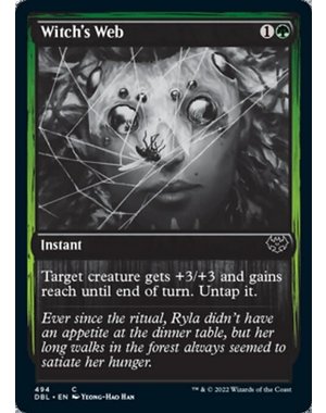 Magic: The Gathering Witch's Web (494) Near Mint