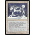 Magic: The Gathering Adarkar Unicorn (001) Lightly Played