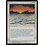 Magic: The Gathering Drought (021) Moderately Played