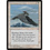 Magic: The Gathering Kjeldoran Skyknight (040) Lightly Played