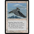 Magic: The Gathering Kjeldoran Skyknight (040) Lightly Played
