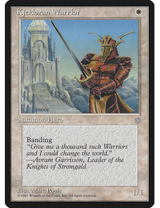 Magic: The Gathering Kjeldoran Warrior (041) Heavily Played