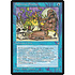 Magic: The Gathering Balduvian Shaman (059) Moderately Played