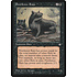 Magic: The Gathering Pestilence Rats (157) Heavily Played