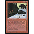 Magic: The Gathering Grizzled Wolverine (192) Moderately Played