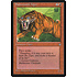 Magic: The Gathering Sabretooth Tiger (215) Heavily Played