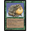 Magic: The Gathering Chub Toad (229) Moderately Played