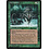 Magic: The Gathering Dire Wolves (230) Moderately Played