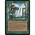 Magic: The Gathering Elder Druid (232) Moderately Played