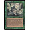 Magic: The Gathering Forgotten Lore (237) Lightly Played