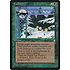Magic: The Gathering Foxfire (238) Lightly Played