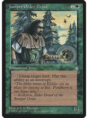 Magic: The Gathering Juniper Order Druid (251) Heavily Played
