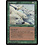 Magic: The Gathering Pale Bears (256) Lightly Played