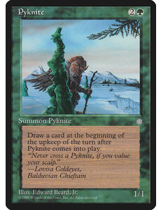 Magic: The Gathering Pyknite (258) Moderately Played