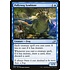Magic: The Gathering Pollywog Symbiote (063) Lightly Played