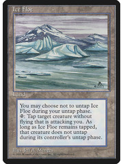 Magic: The Gathering Ice Floe (355) Lightly Played