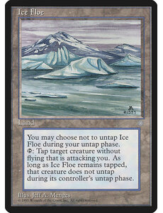 Magic: The Gathering Ice Floe (355) Moderately Played
