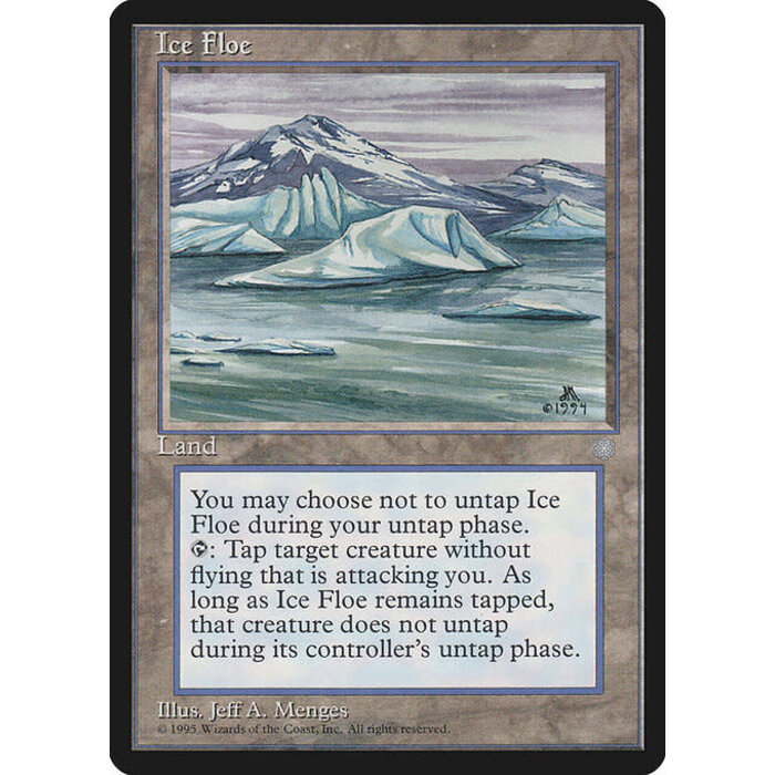 Magic: The Gathering Ice Floe (355) Moderately Played