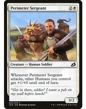 Magic: The Gathering Perimeter Sergeant (027) Lightly Played